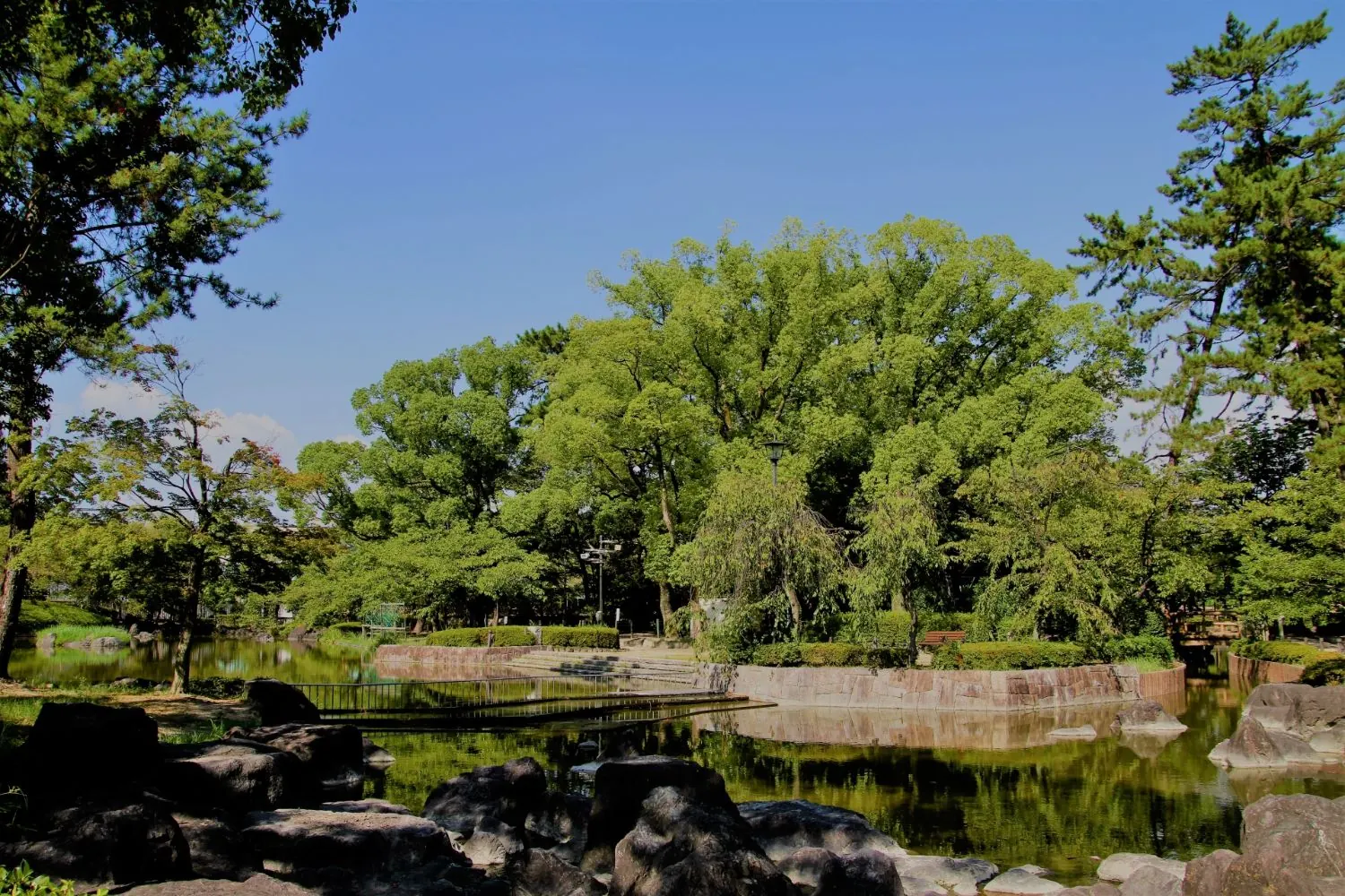 中村公園の池と木々