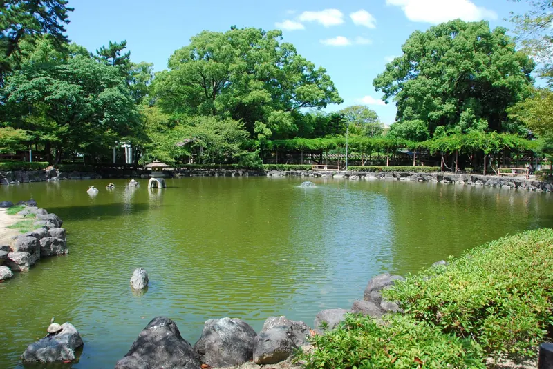 中村公園の池と大きな木