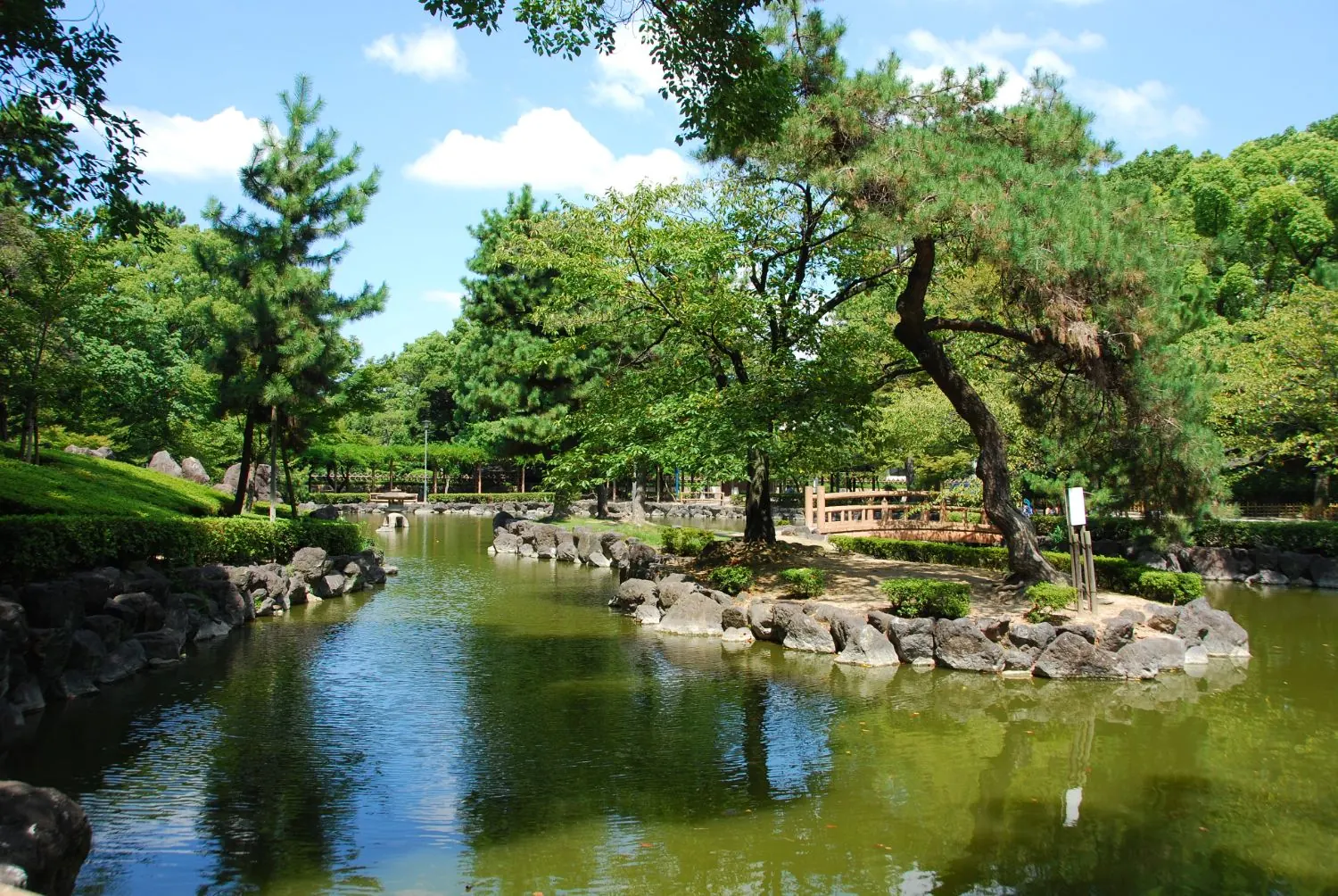 中村公園の池と松の木、青空と白い雲
